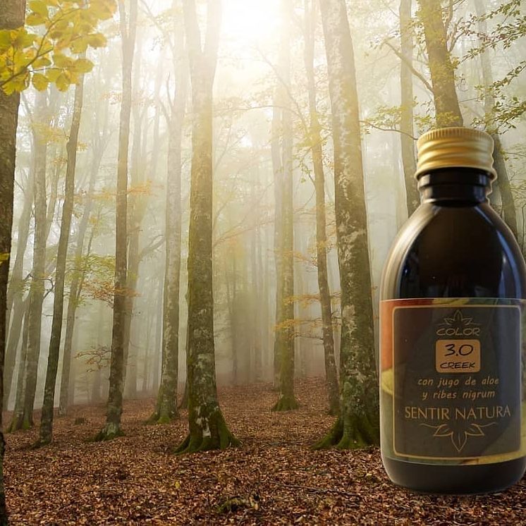 Baño de Óleos – Nutrición Intensiva y Brillo Natural para tu Cabello Alternativa: Óleos Capilares 100 % Naturales – Hidratación Profunda y Protección de la Fibra